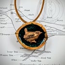 Handmade Wren Wildlife Pendant - Cast in Bronze Resin, Polished Walnut Shell
