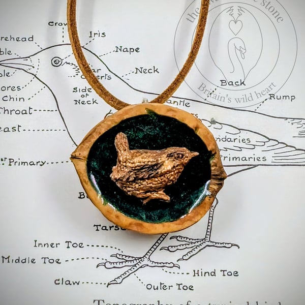 Handmade Wren Wildlife Pendant - Cast in Bronze Resin, Polished Walnut Shell