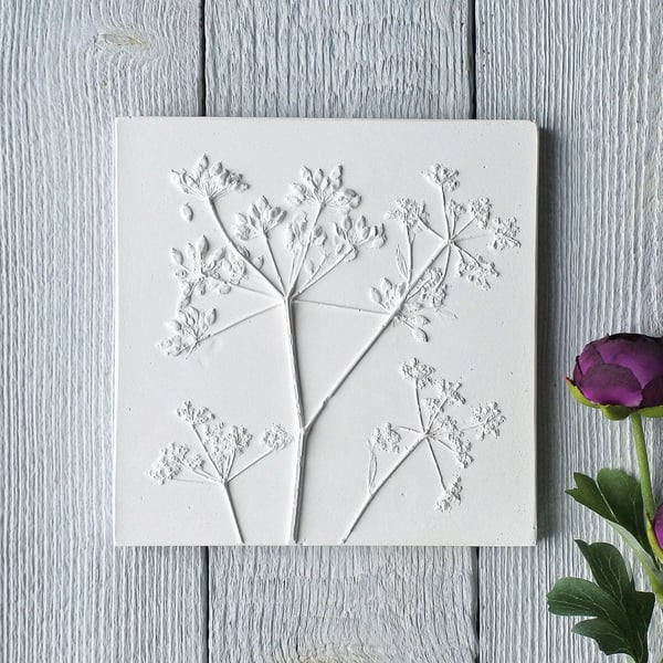 Cow Parsley No.4 Plaster Cast Wall Plaque Limited Edition
