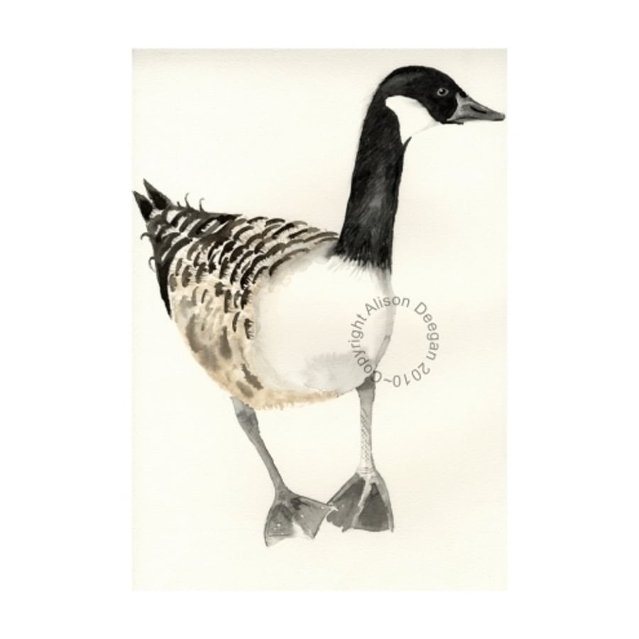 Just a goose - print of watercolour