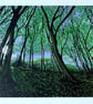'Sunlight through the trees' original screen print - Super Seconds Festival