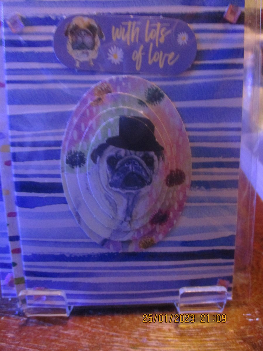 With Lots of Love Dog Card