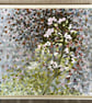 Blackberry through window - Image 5