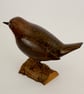 Dipper on driftwood - Image 2