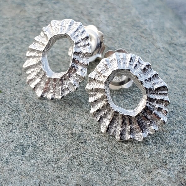 Limpet Loop Stud Earrings 