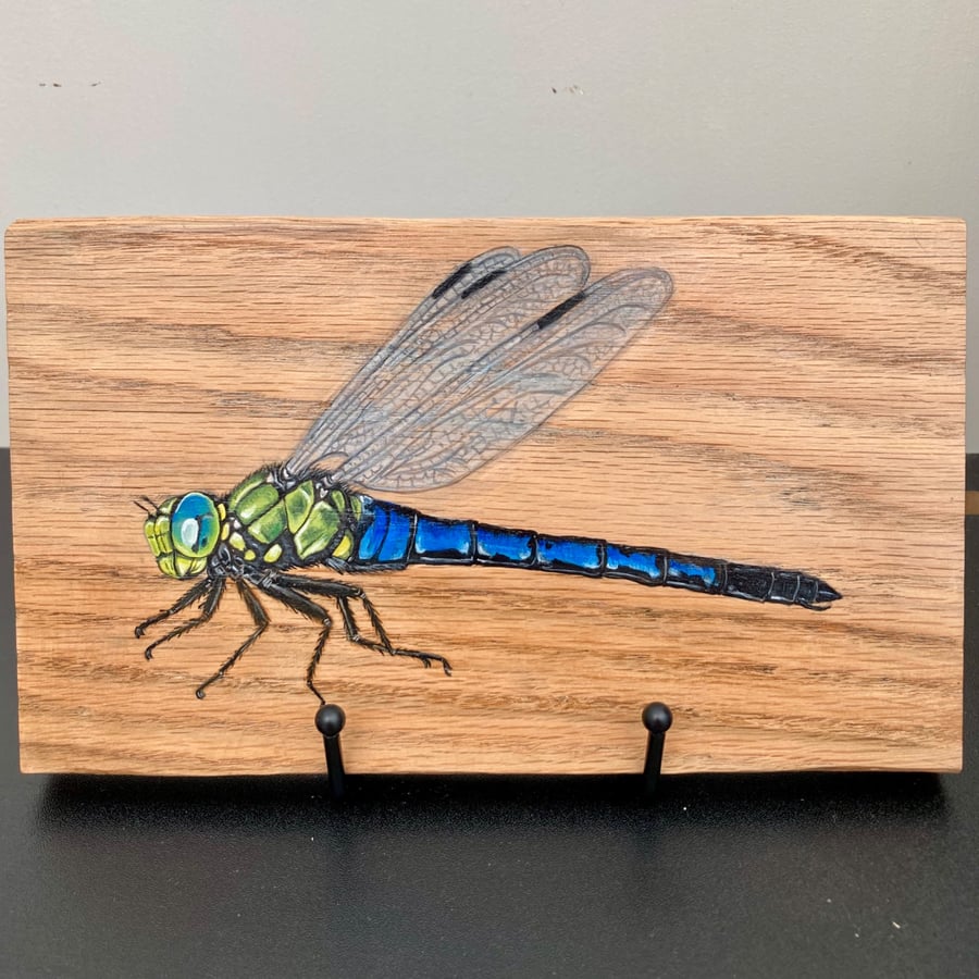 Dragonfly original painting on oak