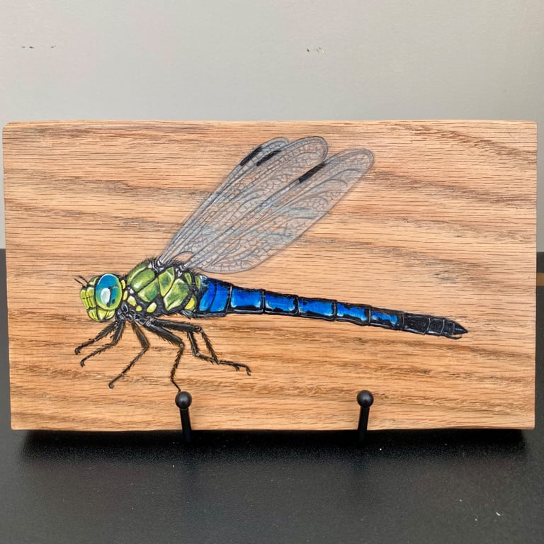 Dragonfly original painting on oak