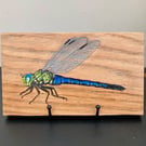 Dragonfly original painting on oak