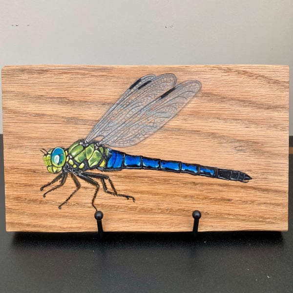 Dragonfly original painting on oak