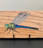 Dragonfly original painting on oak