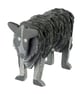 Slate Collie - Image 1