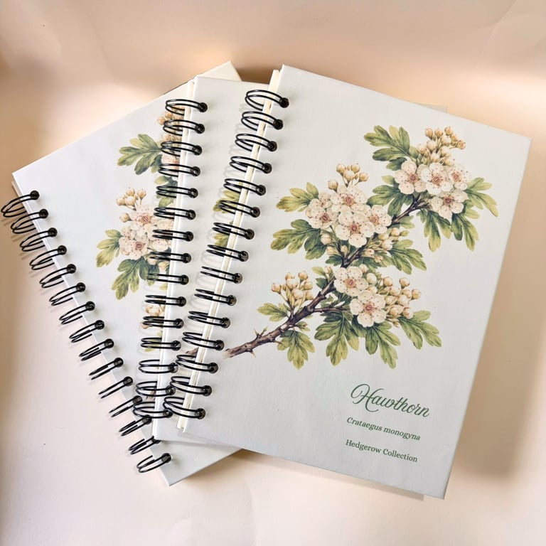 Hawthorn A5 Notebook, Handmade Botanical Gift, Hedgerow Stationery