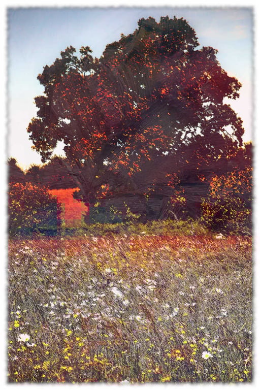 Yeovil Picture, Somerset Meadow Picture, Digital Art Print