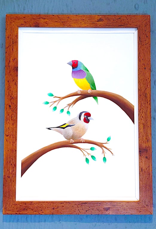 Handmade Framed A3 Print Colourful Gouldian GoldFinch White Border Wallart