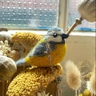 Needle Felted Blue Tit