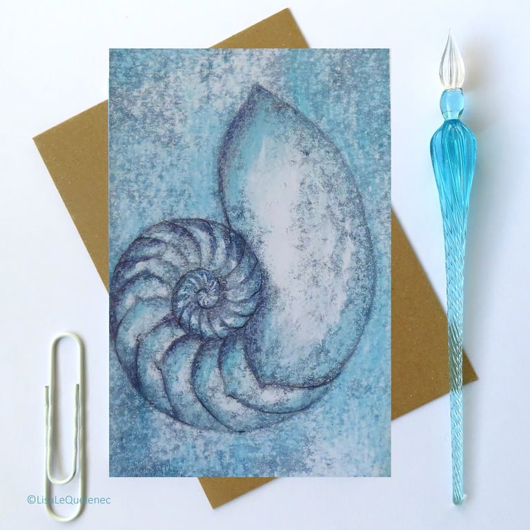 Chambered nautilus blank greeting card for any occasion plastic free