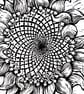 Sunflowerhoovering - Image 2