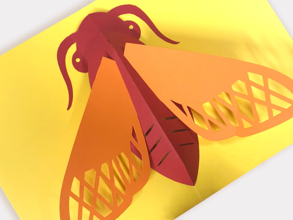 Pop-up Moth 3-D greetings card