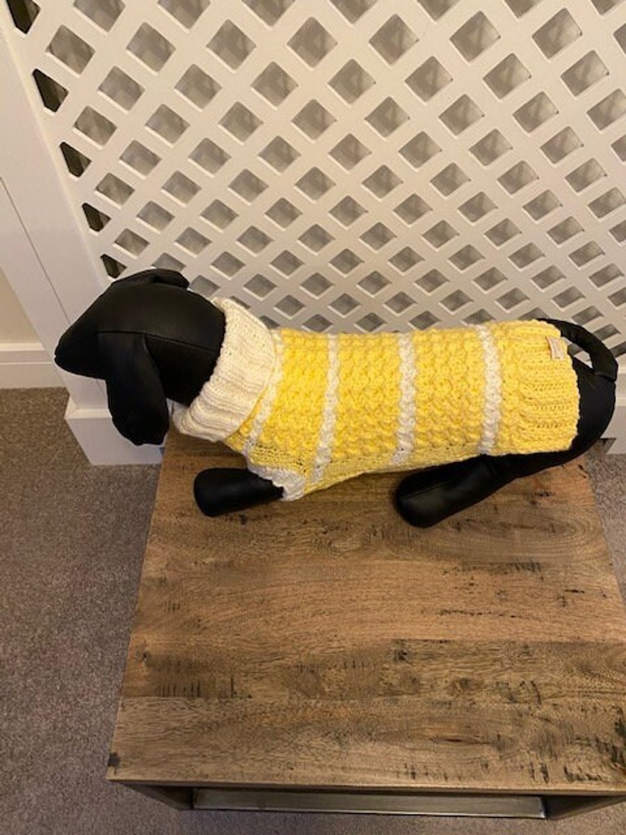 Dog Jumper - Ideal for a Miniature Dachshund or Small Dog, Roll Neck 