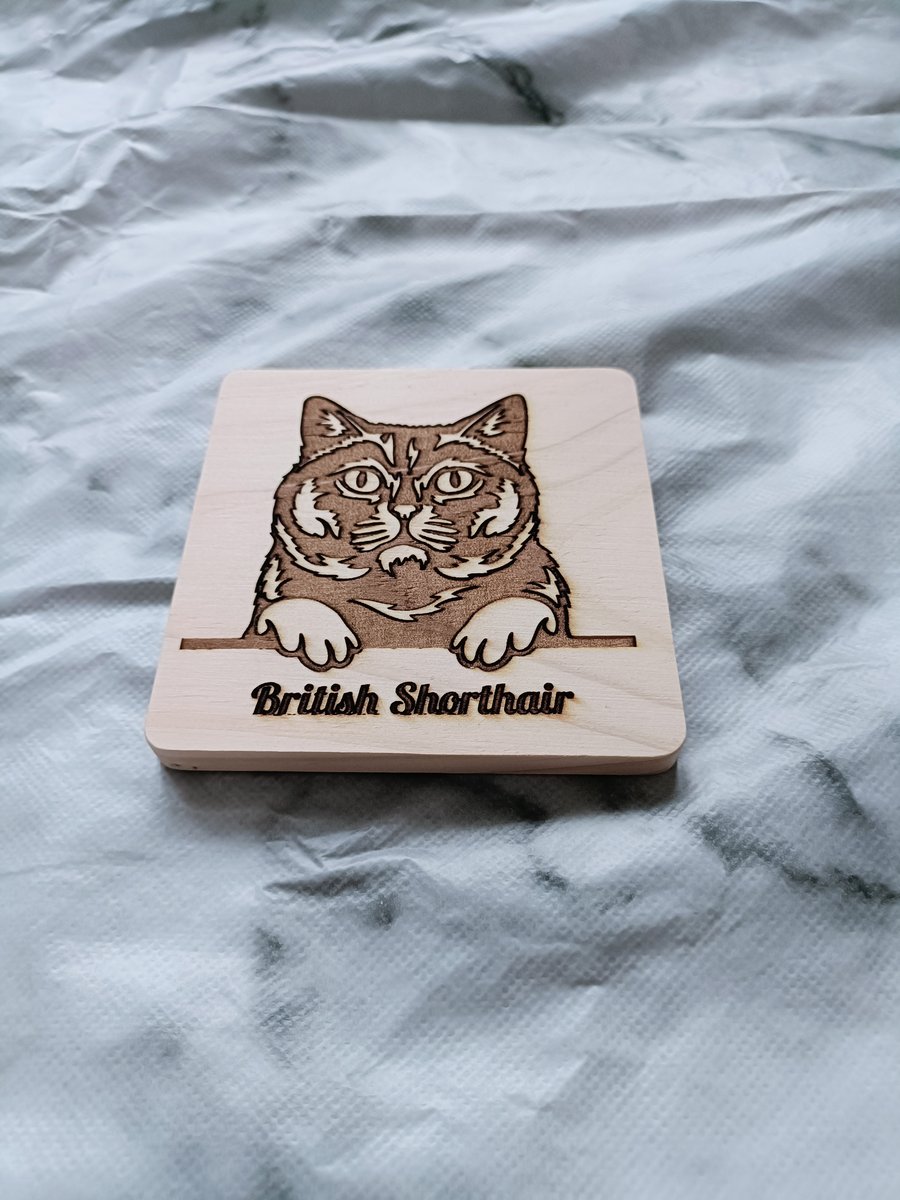 Wooden Cat Coasters personalise with your pets name.