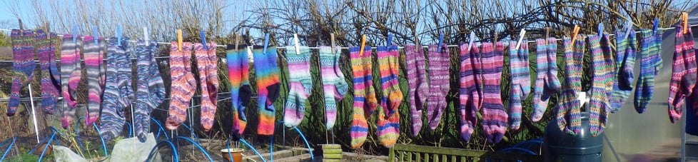 The Snail of Happiness