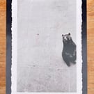 Bear print - Zoo print - Animal print 