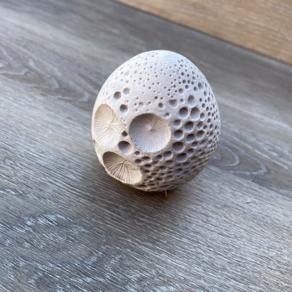 Moon Rock  Meteor Replica 