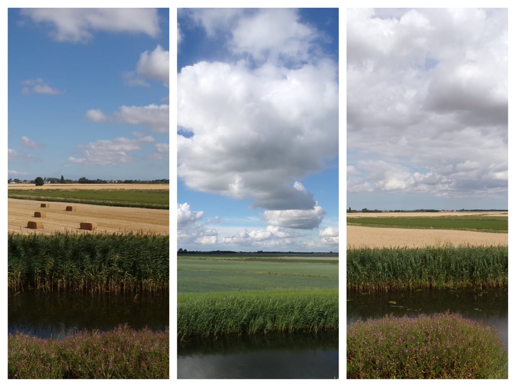 A5 Greeting Card Fields Norfolk 