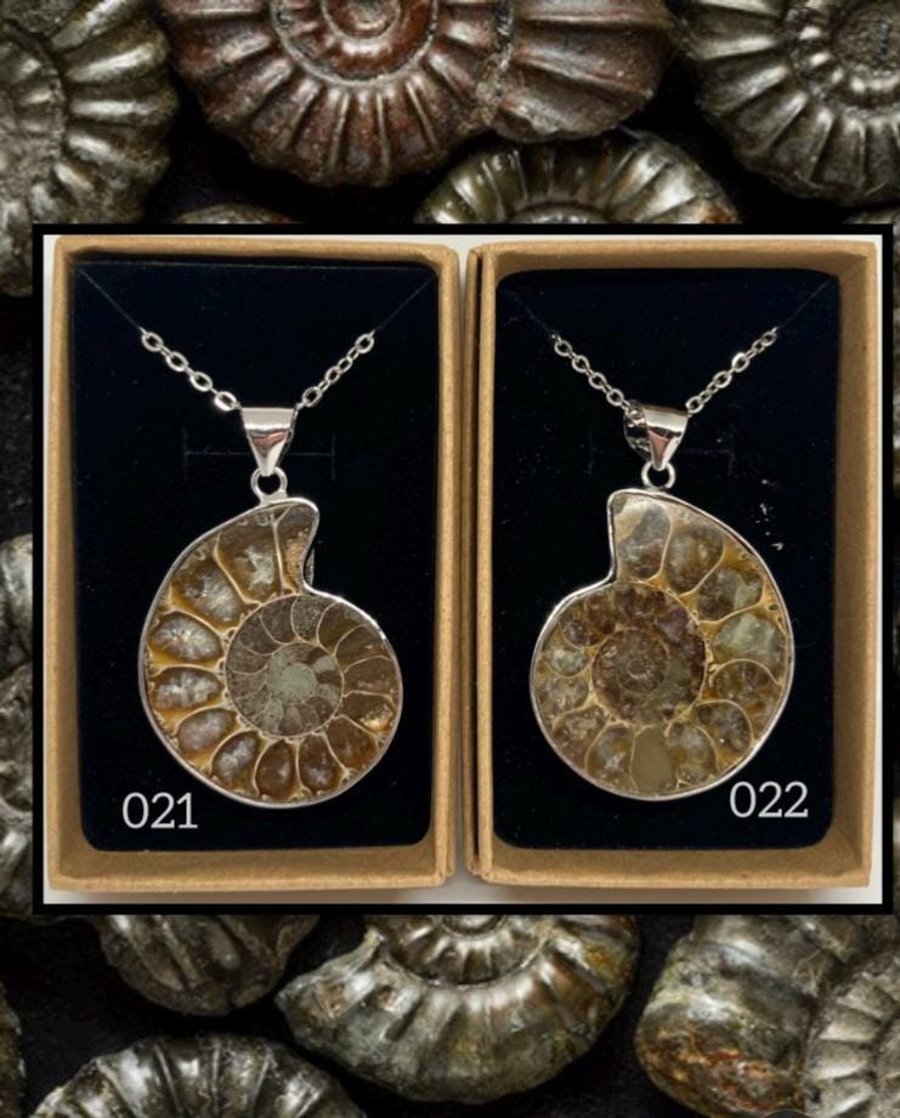 Fossil ammonite pendant necklace