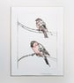 Bullfinch - Image 1