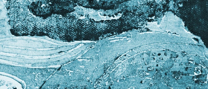 Ian Bertram ~ artist