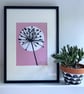 Botanical art, Garden Allium, seed head, shadow painting, handmade art, pink  - Image 2