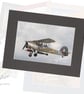 CJ191 - Swordfish - Image 1