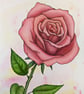 Original Watercolour Painting of a Red Rose, A4 Art - Image 8