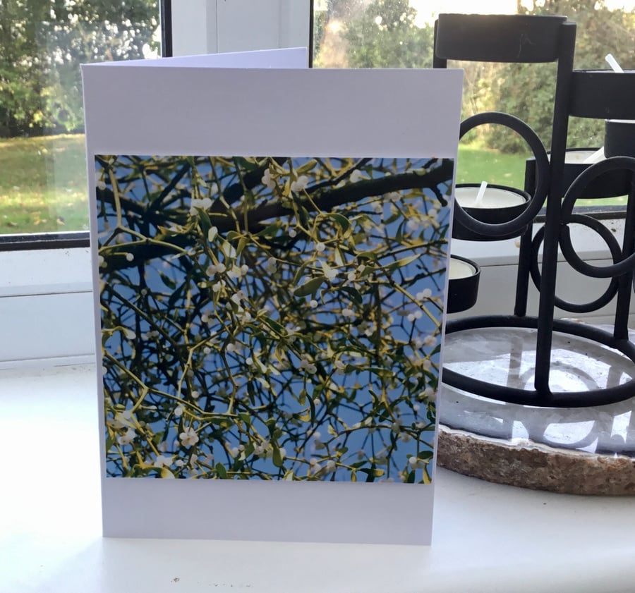 Mistletoe! A Photographic Blank Greetings Card for Christmas or Winter Birthday.