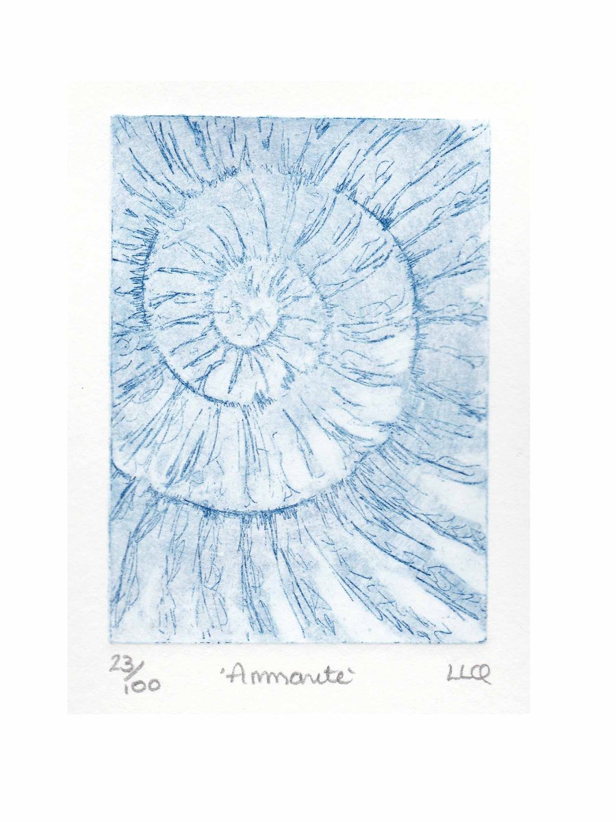 Etching no.23 of an ammonite fossil in an edition of 100