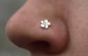 Nose Studs