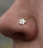 Nose Stud Forget-me-not flower