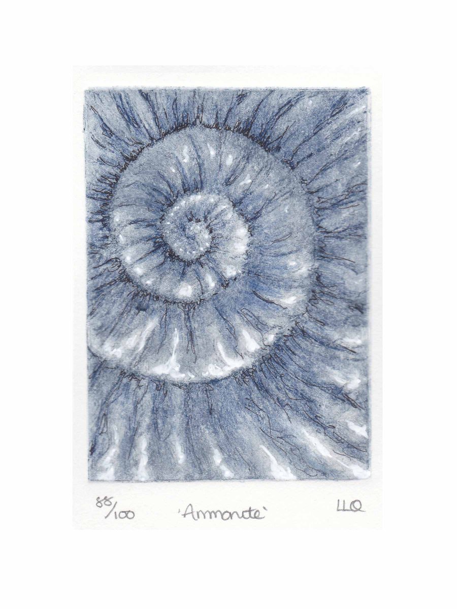 Etching no.88 of an ammonite fossil with mixed media in an edition of 100