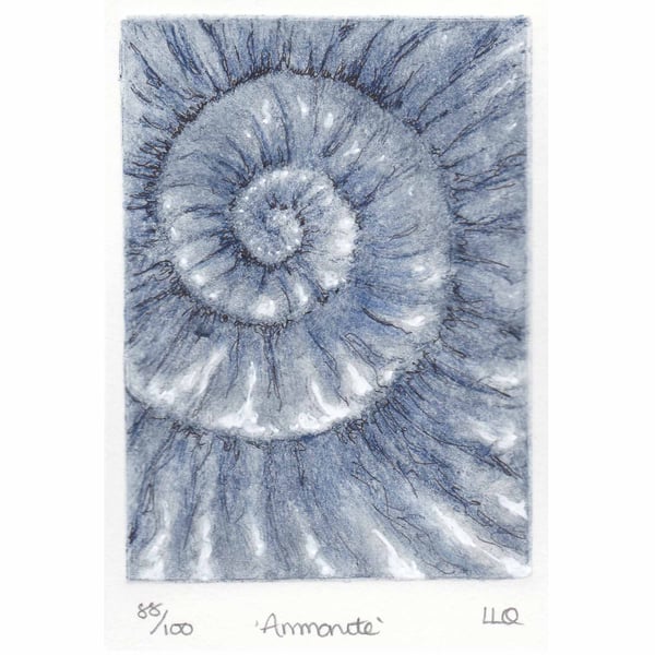 Etching no.88 of an ammonite fossil with mixed media in an edition of 100