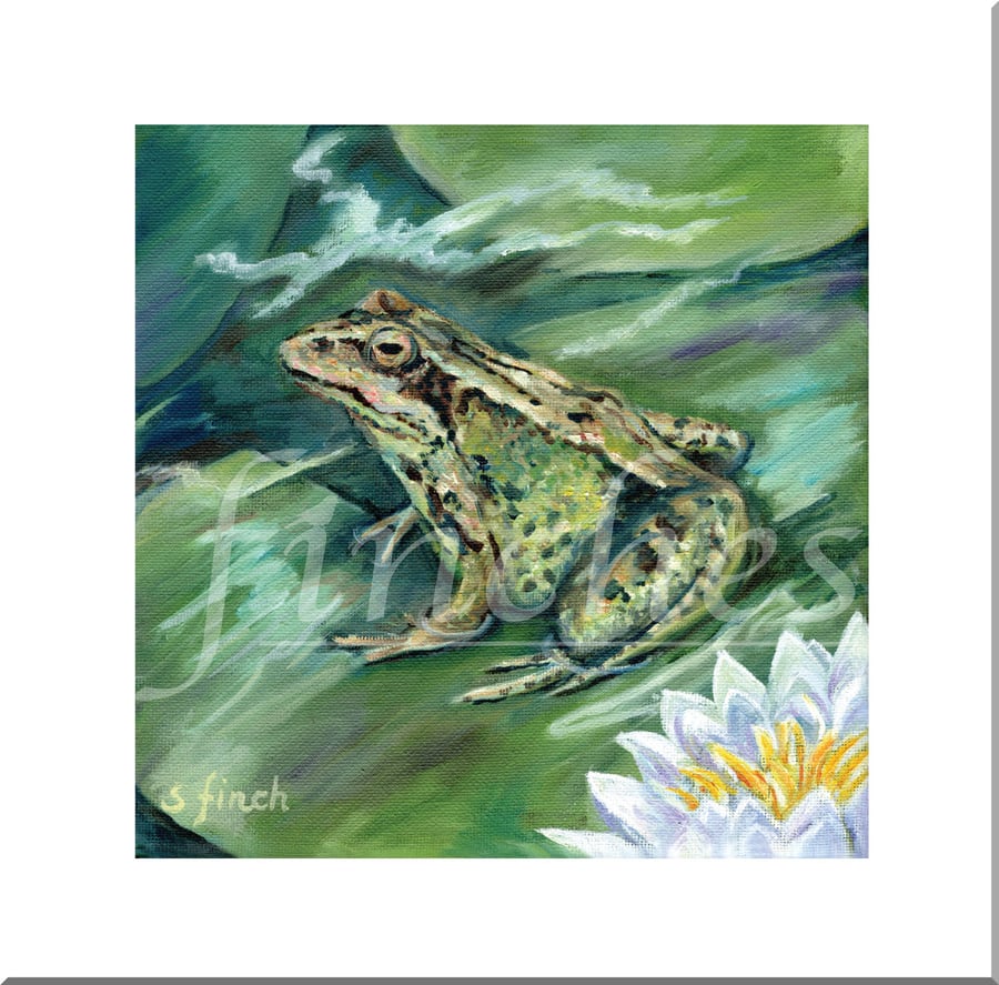 Spirit of Frog - Blank Greeting Card with nature spirit totem message on reverse