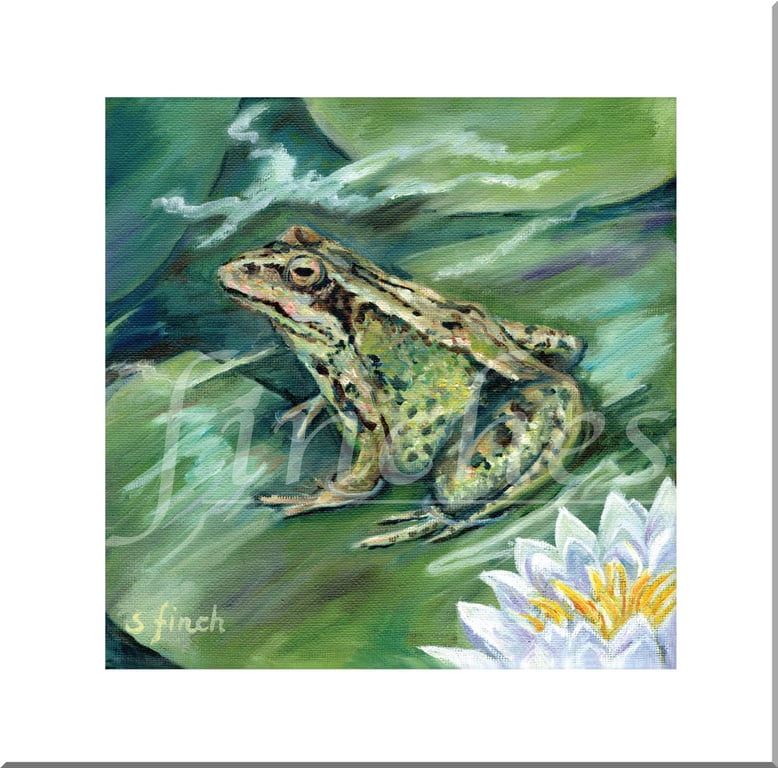 Spirit of Frog - Blank Greeting Card with nature spirit totem message on reverse