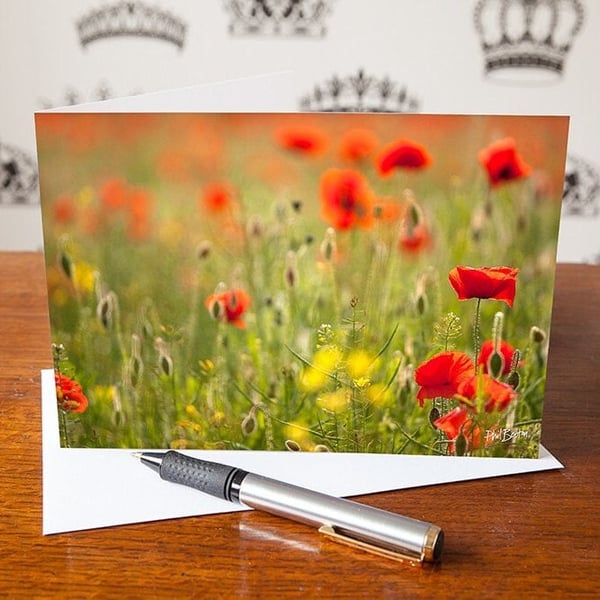 Poppies Greetings Card - Blank Inside - Birthday Card - Mothers Day Card - Anniv