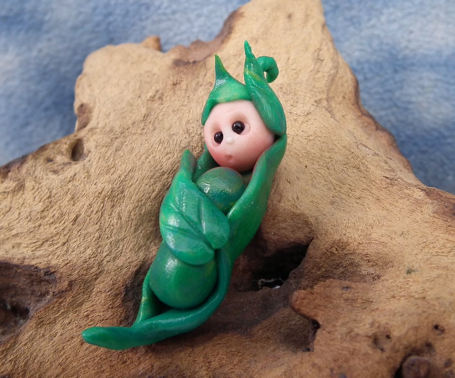 Baby Peapod Gnome 'Seb' OOAK Sculpt Ann Galvin Gnome Village