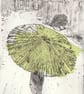 Umbrella, Japan, 1949