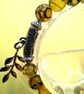 Stretch Dragon Vein Owl Bracelet  - Image 8