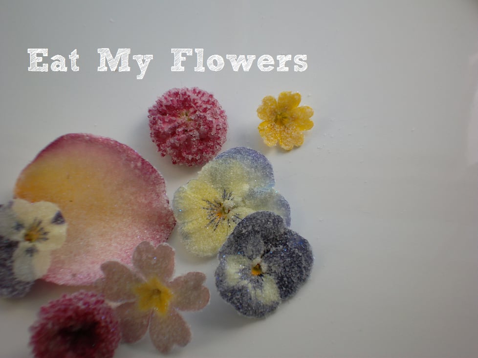 Eat My Flowers
