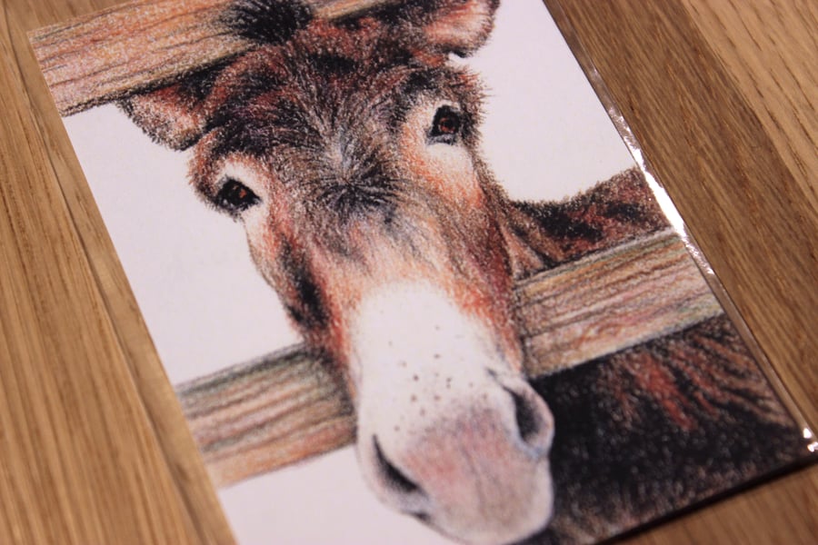 Donkey ACEO Print - Mini Wildlife Art Print, Free UK Post