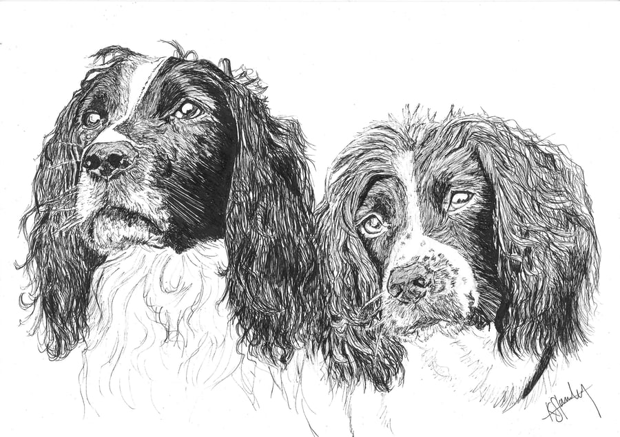 Custom A3 Black Pen Illustration Drawing Portrait of your Pet or pets!