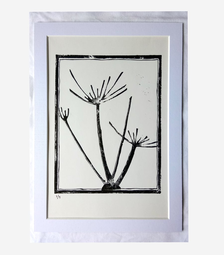 Hogweed Limited Edition Lino Print Wild Flower Plant A4 Mounted